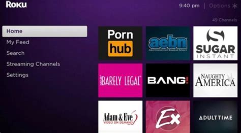 roku porn apps|List of Roku Porn Channels & Apps: Best Alternatives in 2024